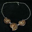 Triple Ammonite Necklace - Larger Ammonites #4552-1